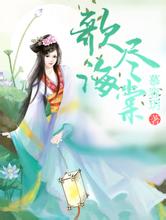 澳门版全年免费大全泊君seo